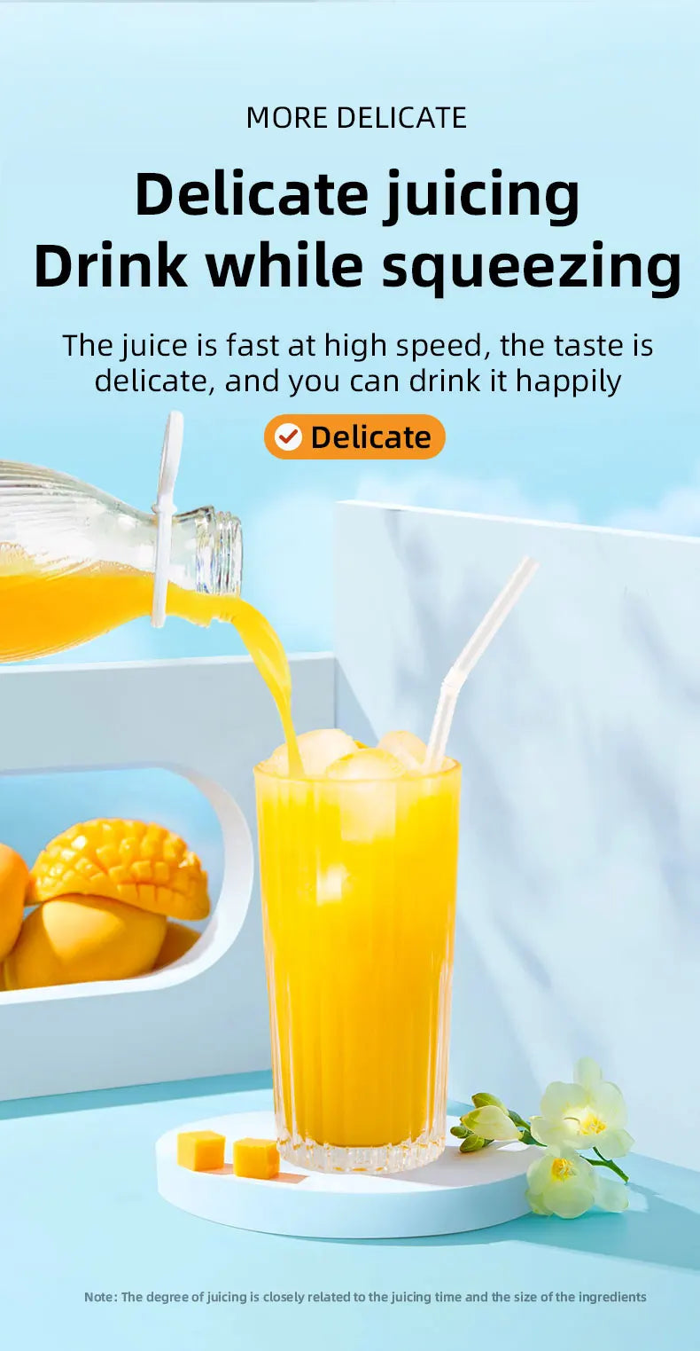Portable Blender 500ml Mini Juicer